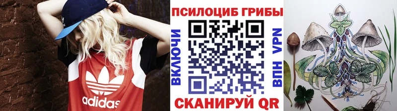 мега сайт  закладки  Новая Усмань  Галлюциногенные грибы Psilocybe 